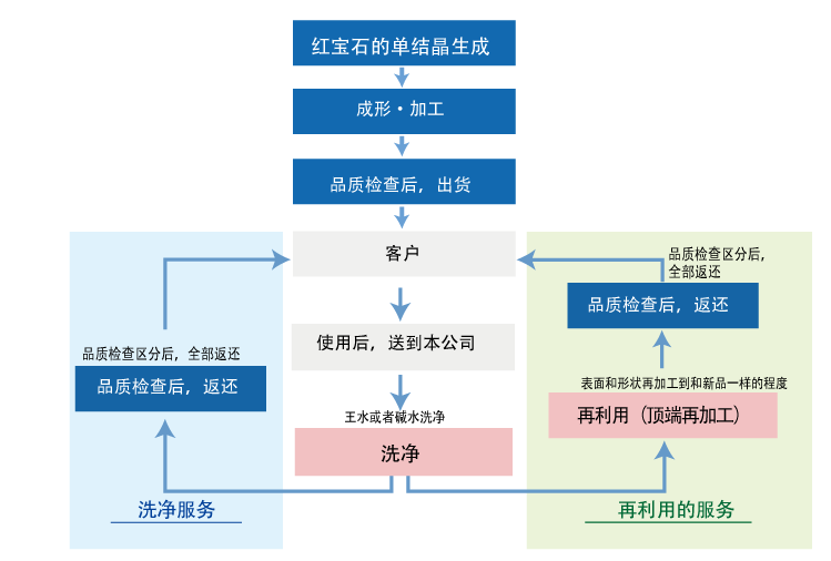 ruby_capillaries_sys_sim.png